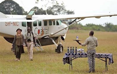 1 day Serengeti Flying safari Tanzania