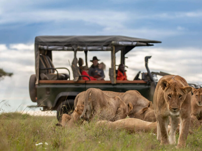 7 days best of Kenya Safari