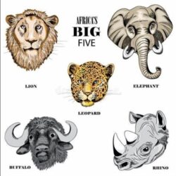 Big 5 Animals Icons Big 5 Animals Icons