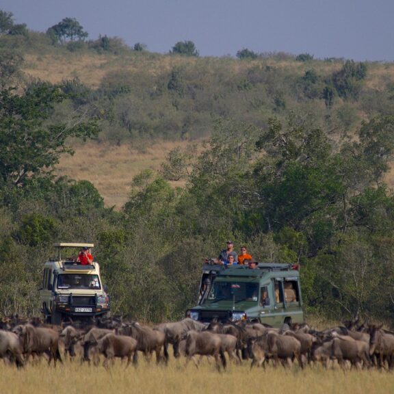 Masai Mara National Reserve Kenya Masai Mara National Reserve Kenya