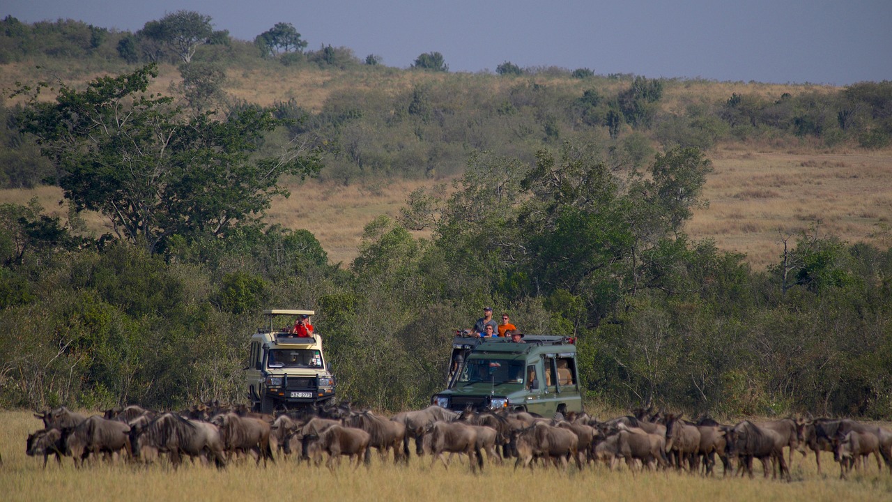 Masai Mara National Reserve Kenya