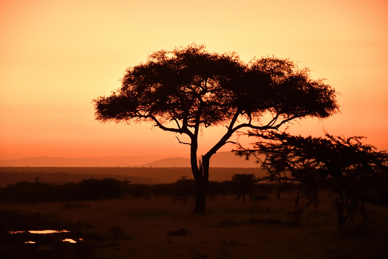 Masai Mara in its Wilderness
