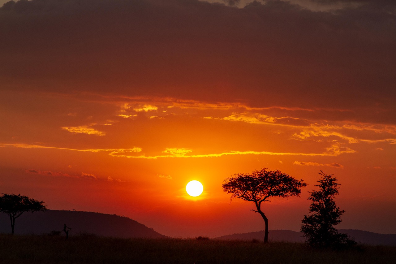  Serengeti scenery in the Evening