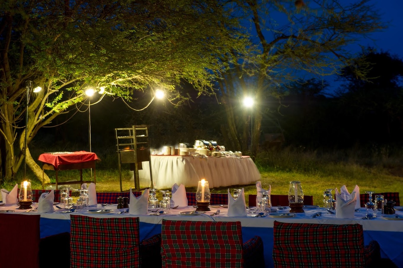 Serengeti Serena Safari Lodge Tanzania Bush dinner in the wilderness | Serengeti Serena Safari Lodge