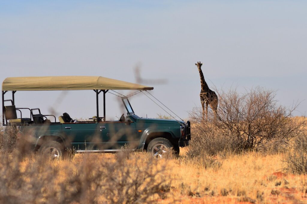 A car used for Game drive in Africa