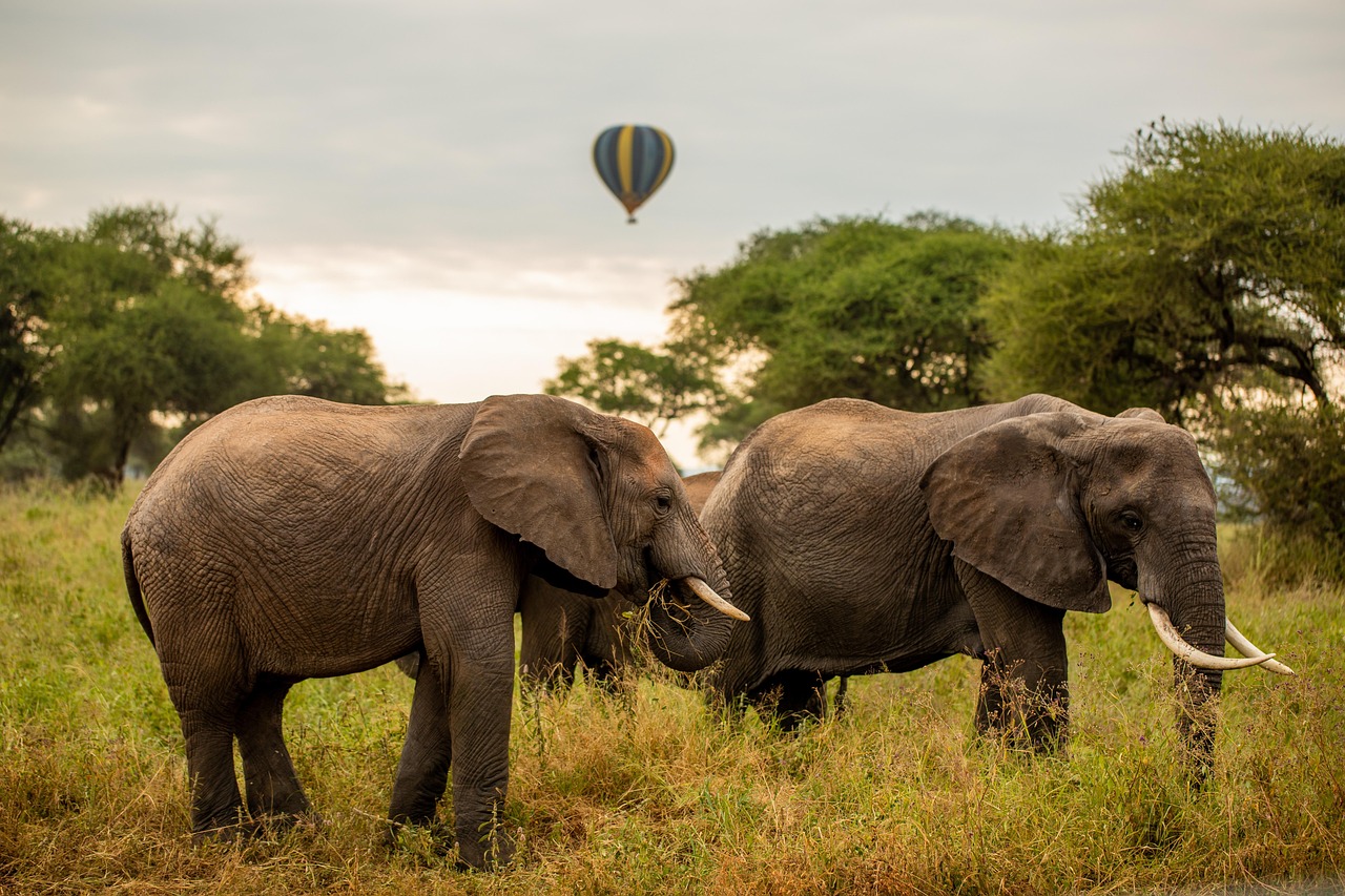 Hot air balloon rides in Kenya