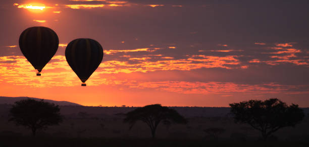 Hot air balloon rides in Serengeti - Things to do in Tanzania