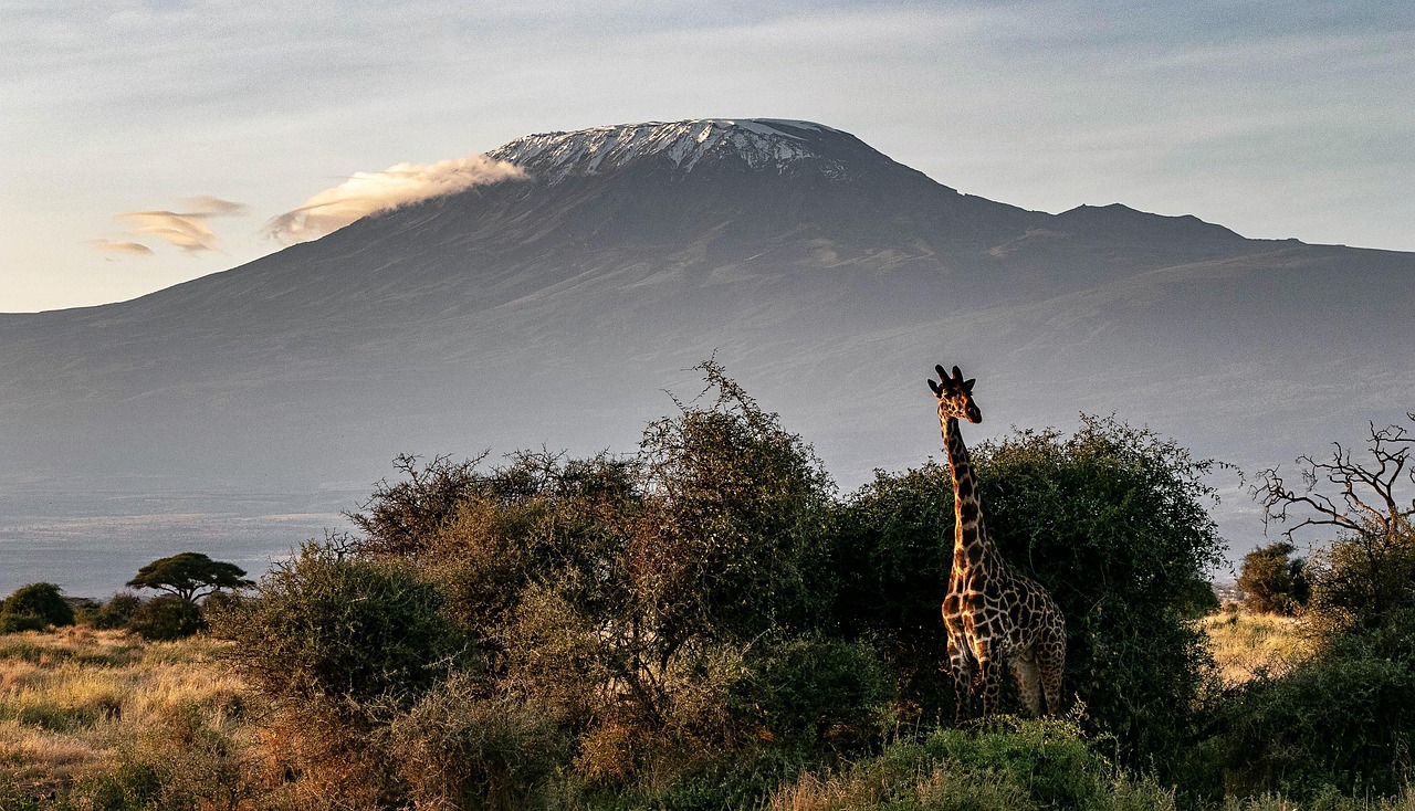 Mount Kilimanjaro Africa