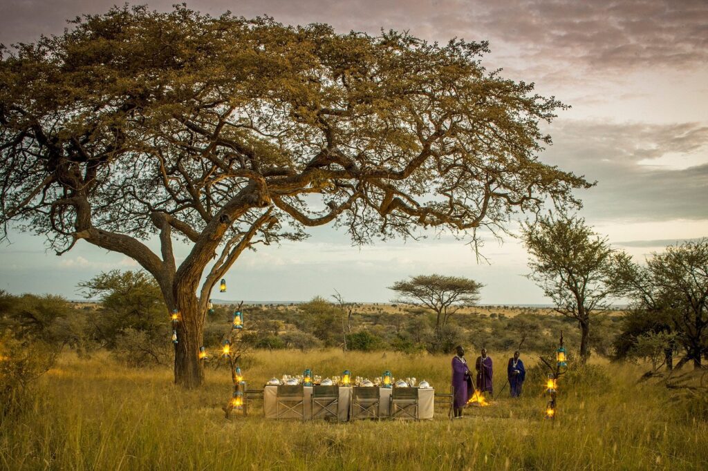 bush-dining in East Africa