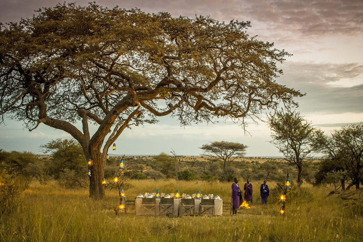 bush-dining in East Africa bush-dining in East Africa
