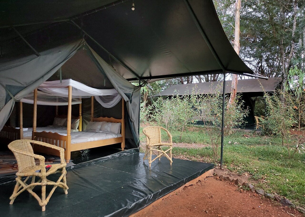 Talek Bush Camp in Kenya Talek Bush Camp in Masai Mara Kenya (Masai Mara Tented Camps)
