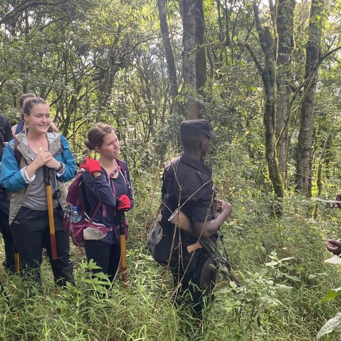 Gorilla trekking with family and minors
