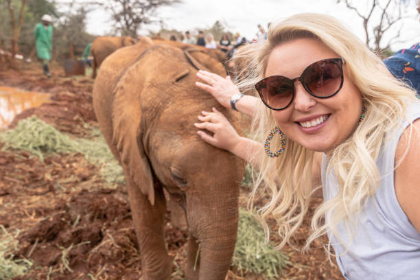 A woman pets a baby elephant in Nairobi Kenya A woman pets a baby elephant in Nairobi Kenya