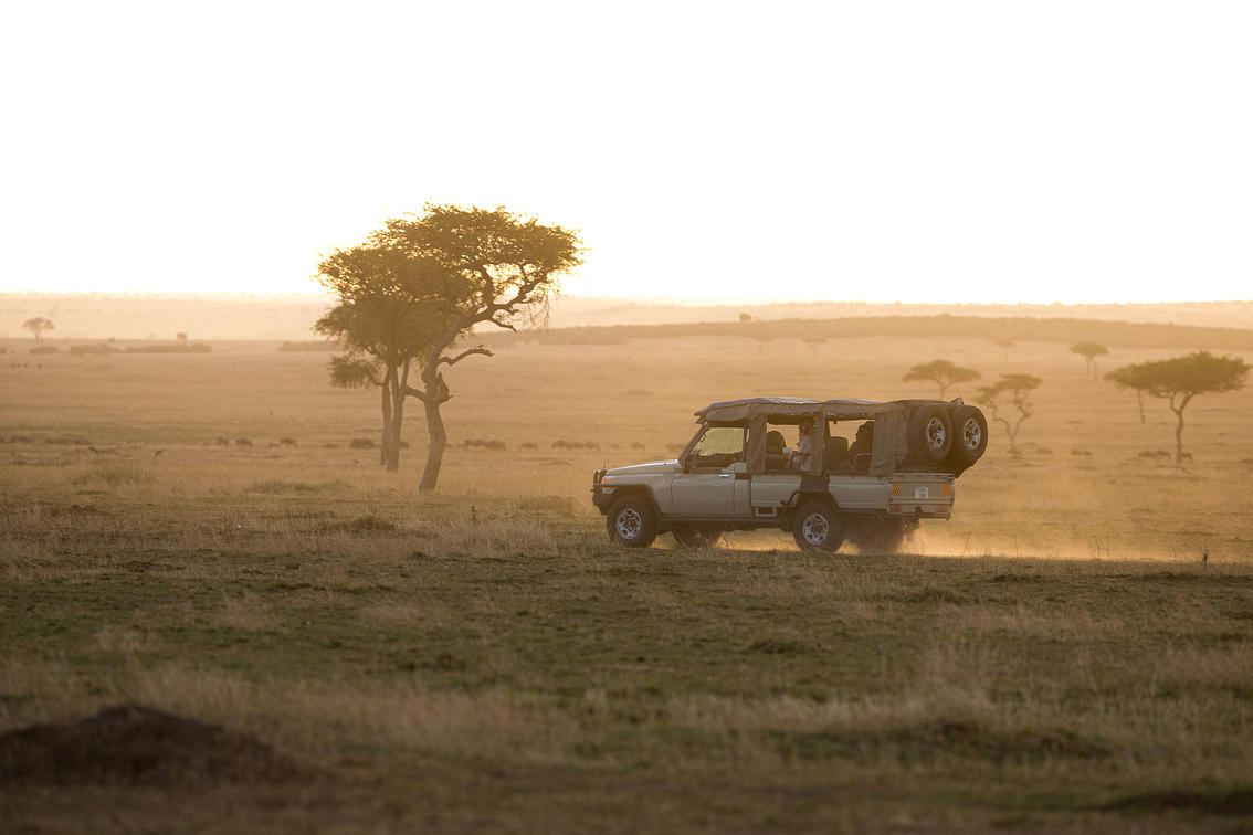 Game drives in Tanzania Game drives in Tanzania