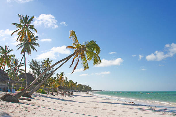 Coco Beach in Tanzania
