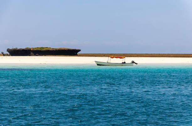 Wasini Island and Kisite-Mpunguti Marine National Park, Kenya, Africa
