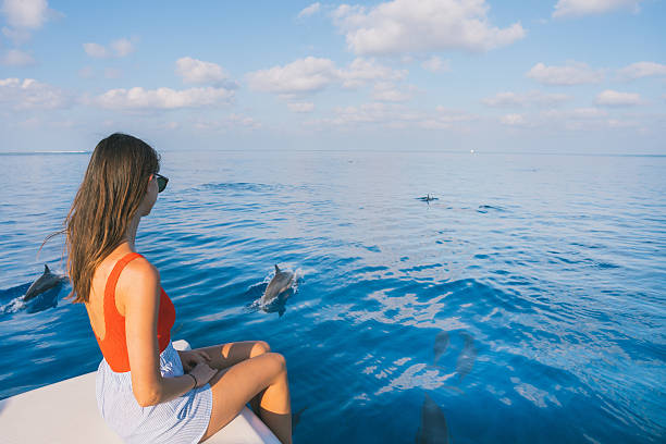 Young woman watches dolphins from boat on a dolphin observation tour in the Indian Ocean