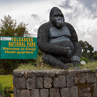 Kinigi, Rwanda - a giant gorilla statue welcomes visitors at the entrance of Volcanoes National Park