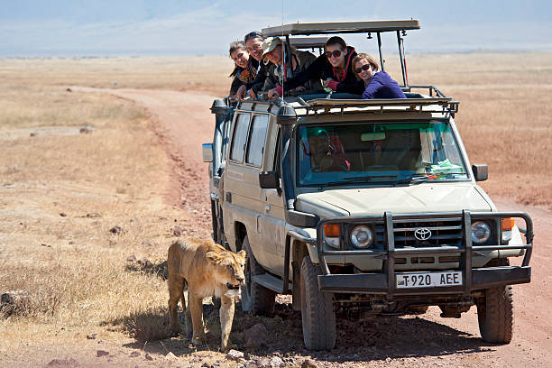 Game drives during your 5 day Serengeti safari