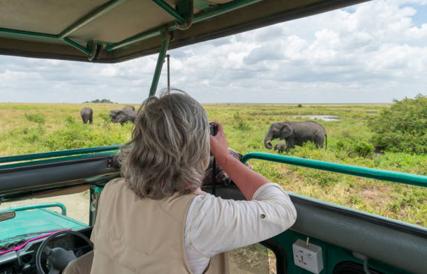  A visitor in a pop-up roof in Serengeti