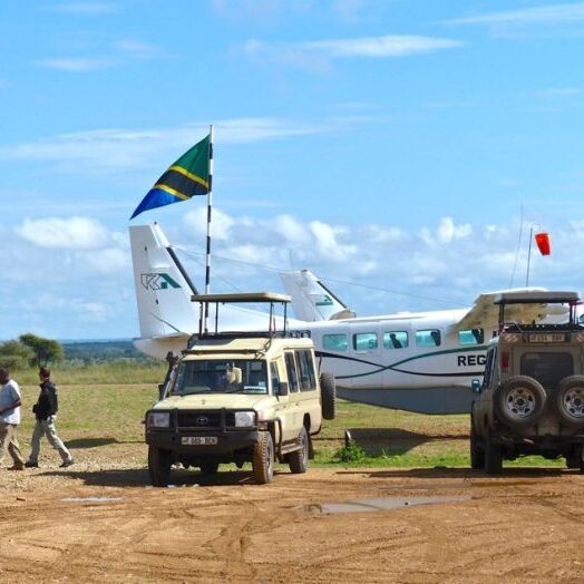 Serengeti Airstrips Serengeti Airstrips