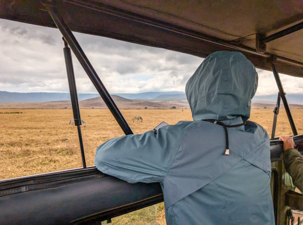 Tourist in a hooded jacket watching zebras grazing in the distance while seated in a safari vehicle, surrounded by the stunning landscapes of Serengeti NP, Tanzania