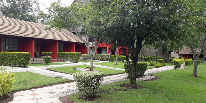 mara-river-lodge-compound mara-river-lodge-compound (cheap hotels in Masai Mara)
