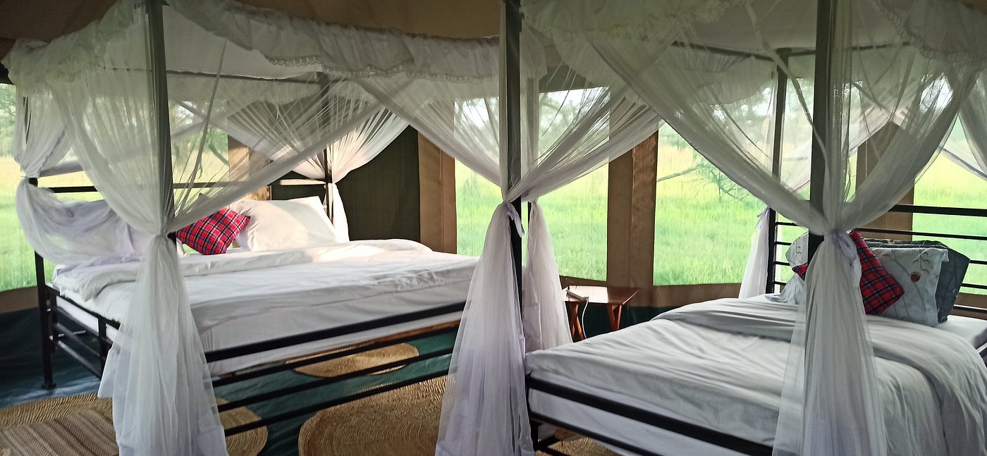 osero-serengeti-tented-camp-interior Osero-Serengeti-tented-camp-interior