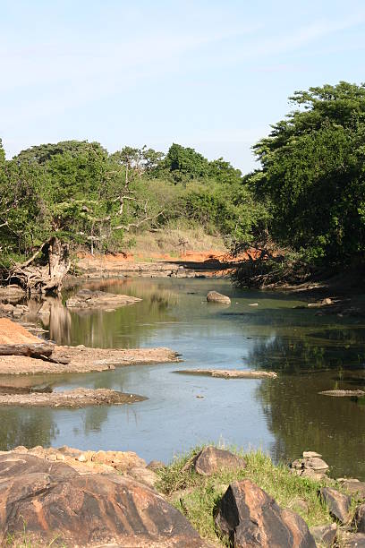 Grumeti Game Reserve in Serengeti Grumeti Game Reserve in Serengeti