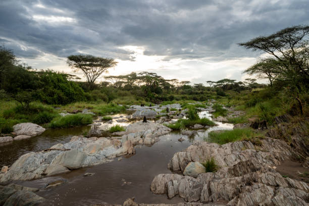 Seronera Valley in Central Serengeti Seronera Valley in Central Serengeti, one of the best Serengeti safari areas to visit in Tanzania
