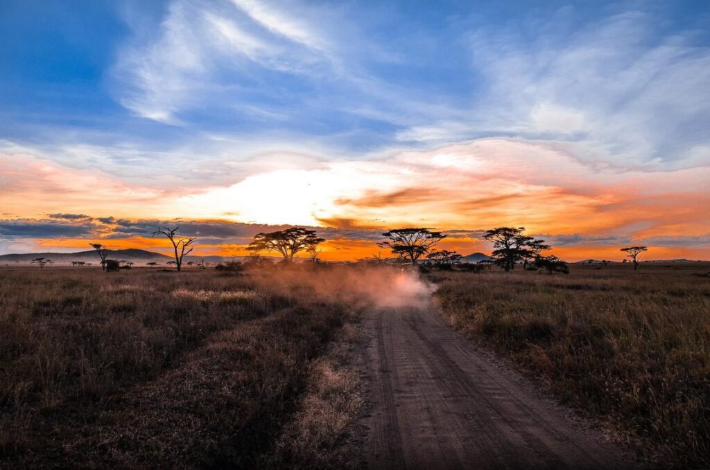 The Serengeti National Park Plains