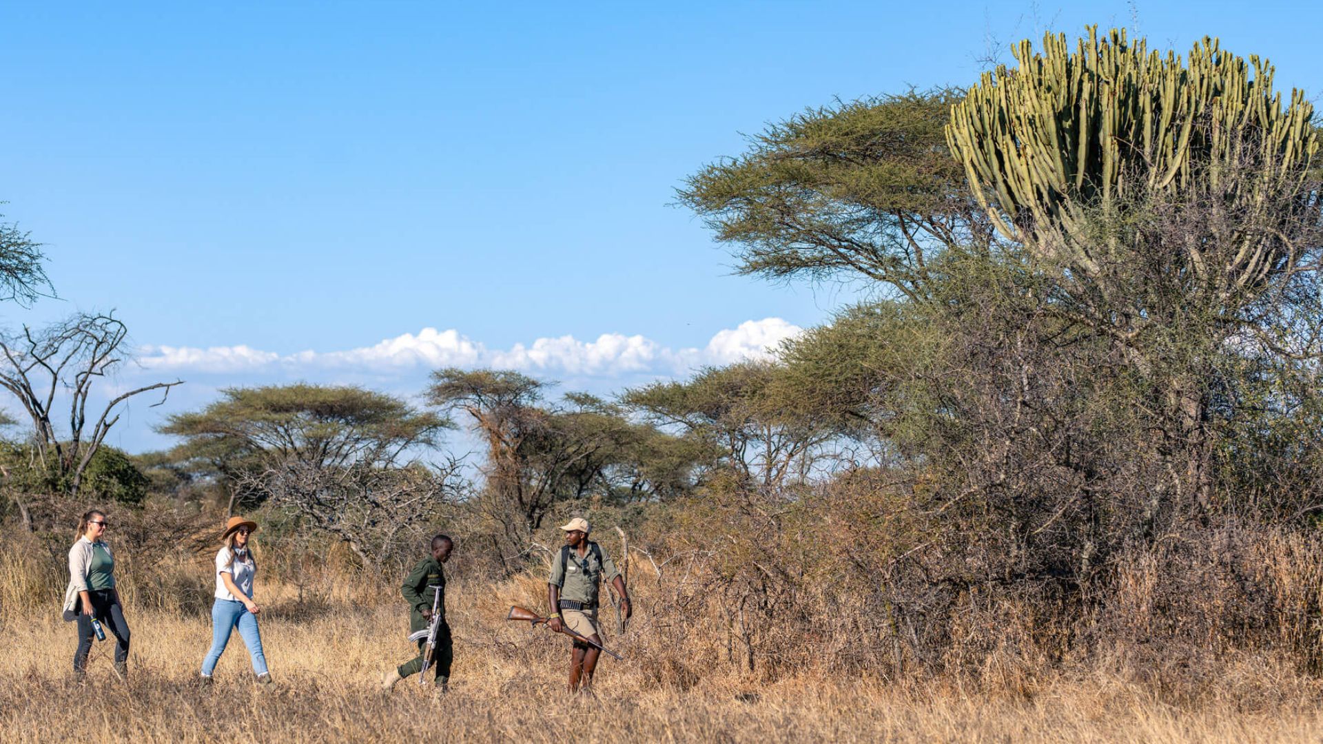 Tourists walking with a game ranger and a guide in Serengeti