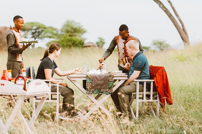 Wilderness bush meals in Serengeti