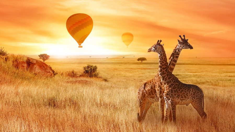 Serengeti Balloon over the plains