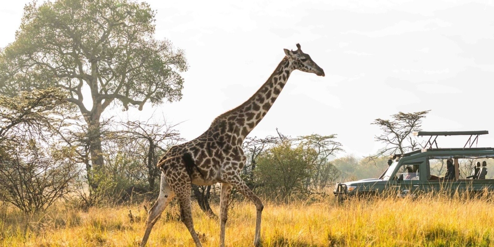 Samburu safari game drives