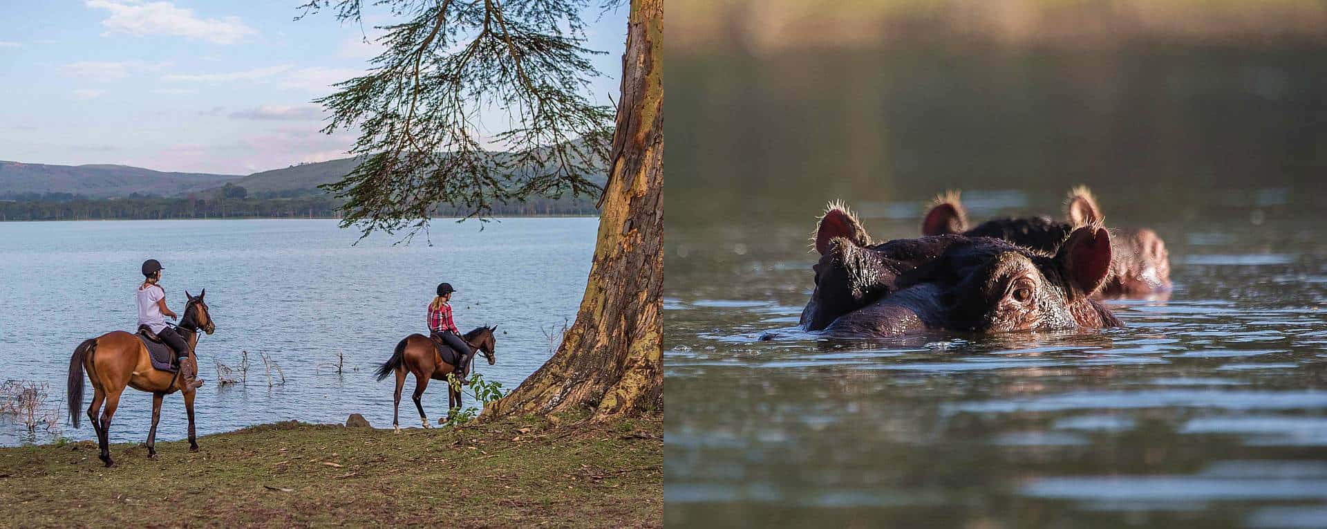 Top activities to do in Lake Naivasha