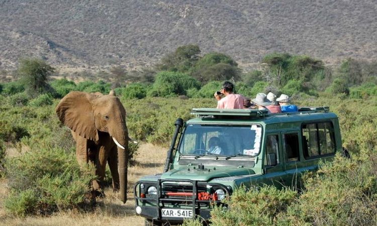 An elephant spotted during a game drive in Tsavo National Park
