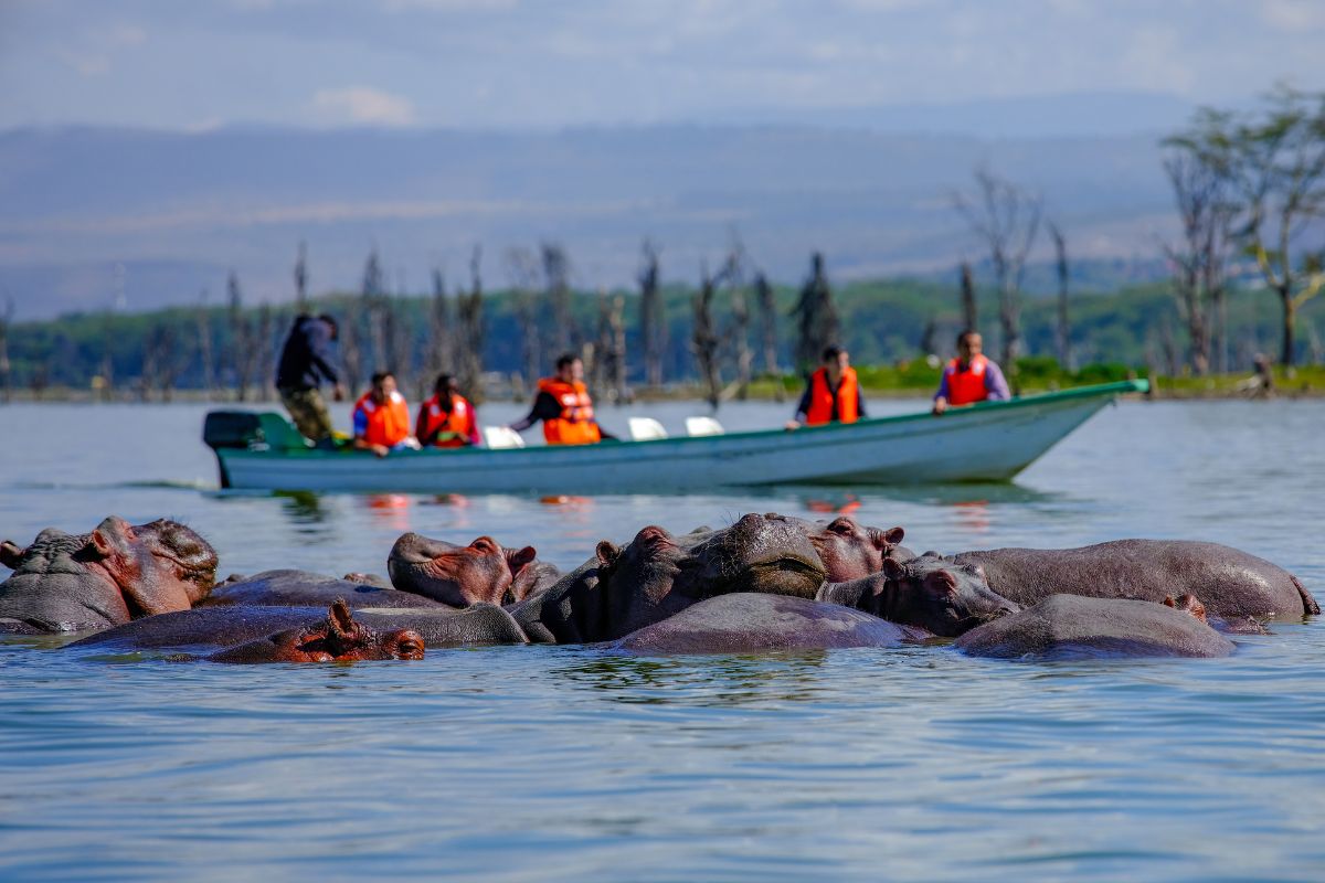 Tourists on a boat cruise on Lake Naivasha in Kenya