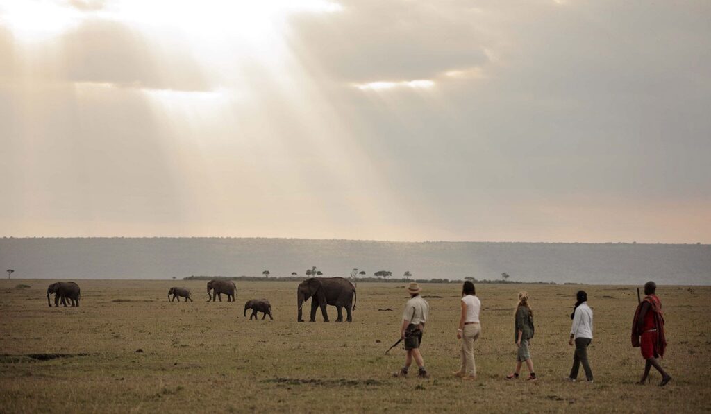 Tourists walking in the Masai Mara North