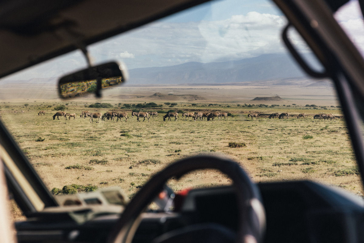 A tourist on a self drive vacation in Serengeti