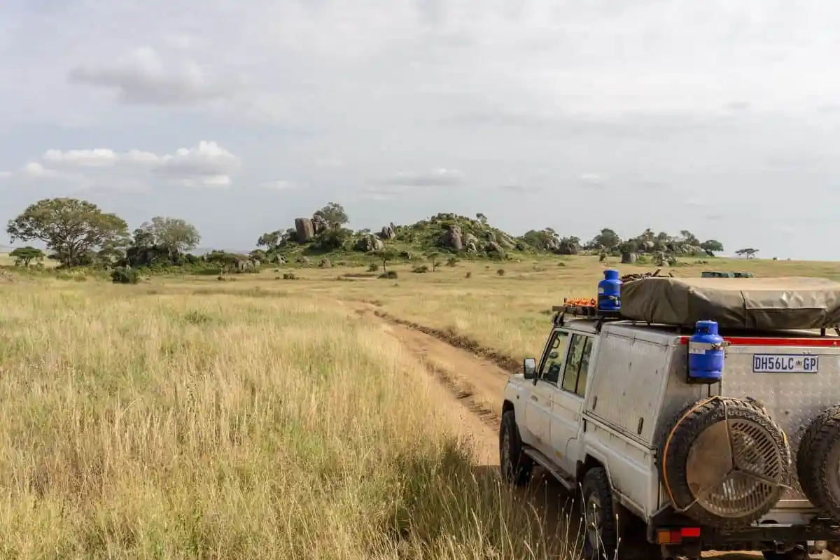 A game drive experience in Serengeti with camping