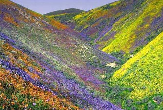 Kitulo National Park