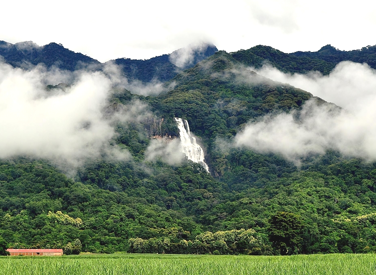 Udzungwa Mountains Park